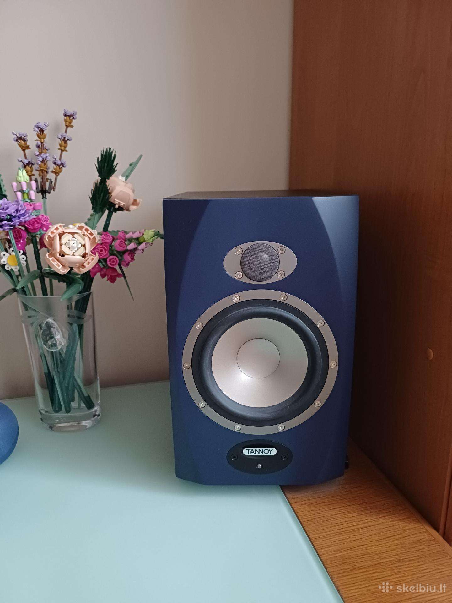 Tannoy reveal 6d kolonėles
