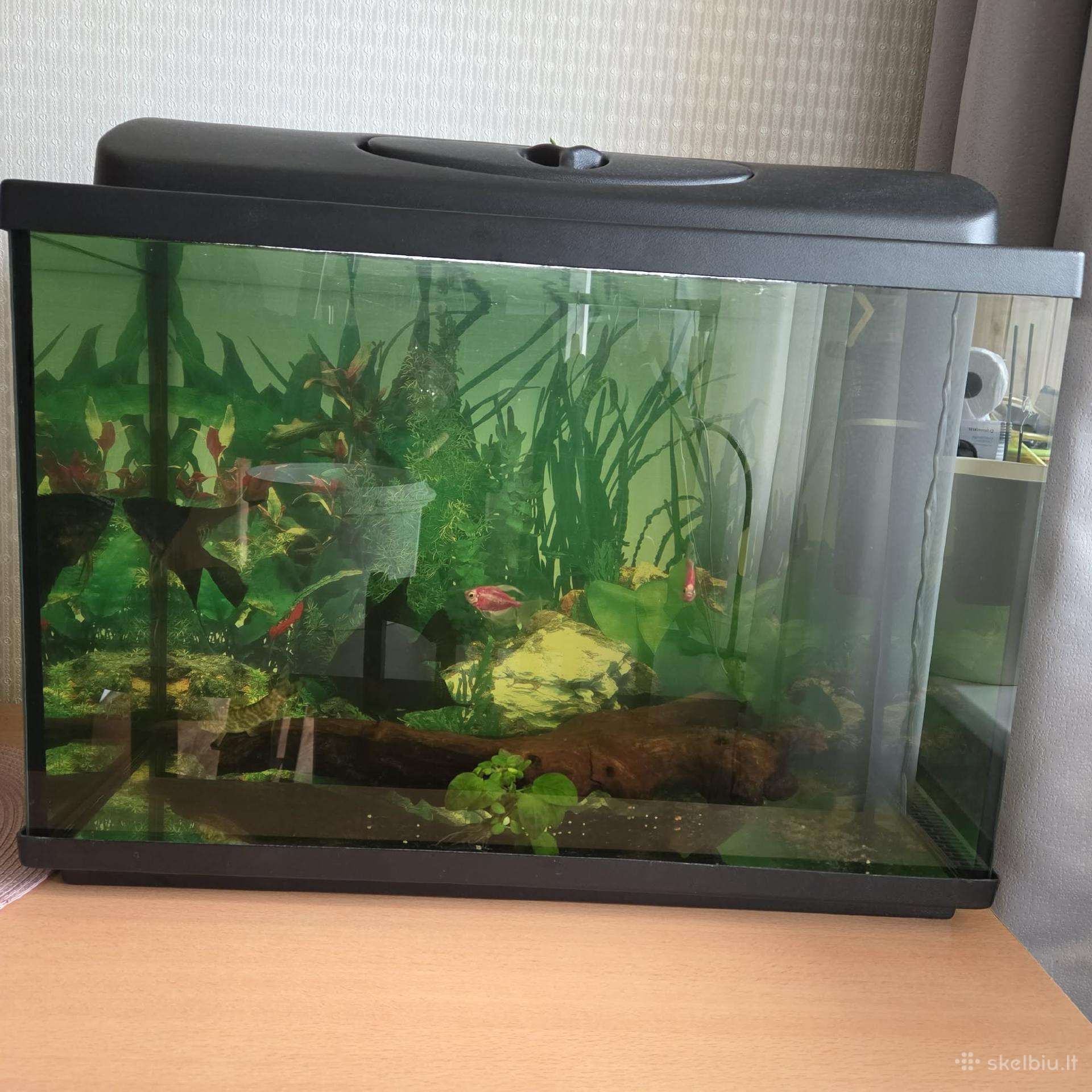 Akvariumas 70 litrų