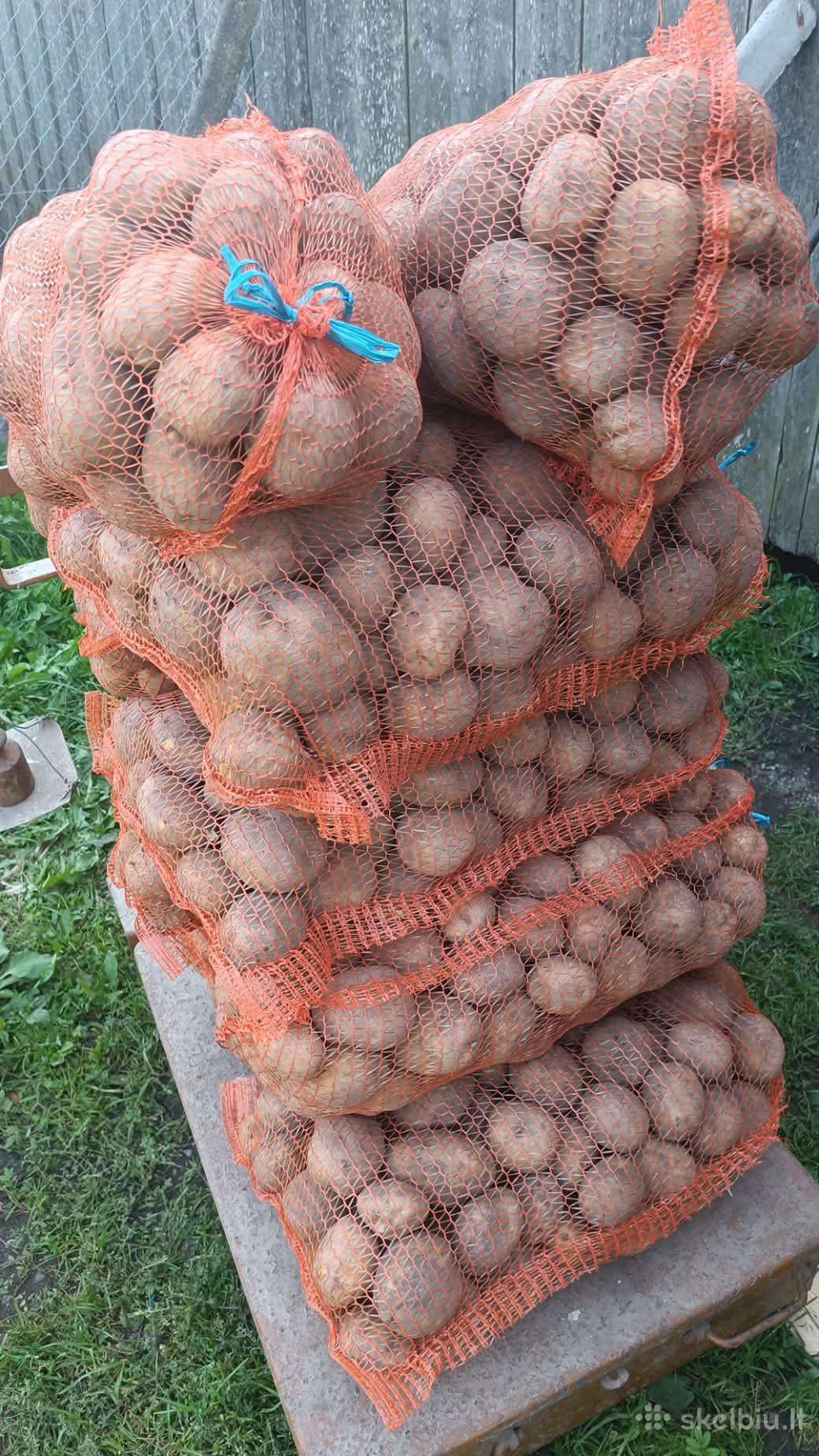 Šviežios bulvės