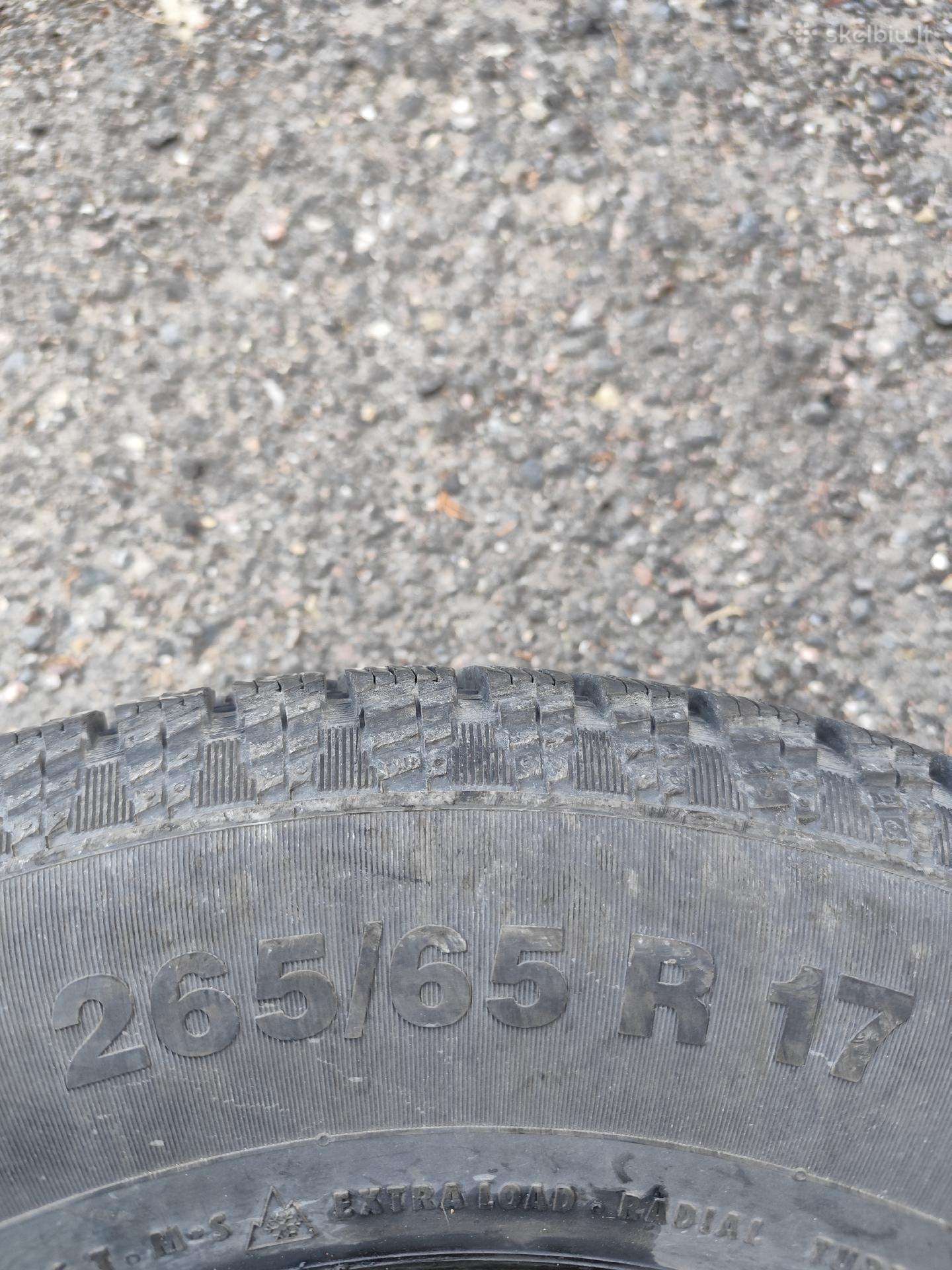 Continental, žieminės 265/65 R17
