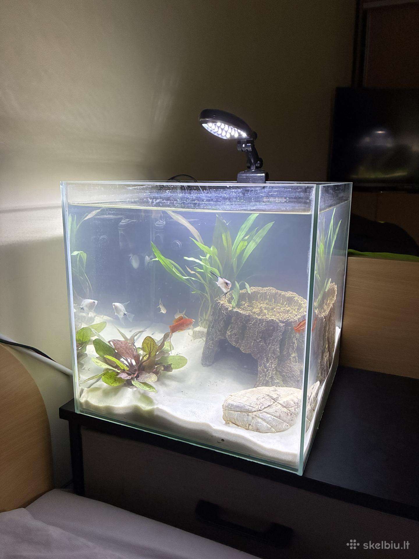 30l Akvariumas