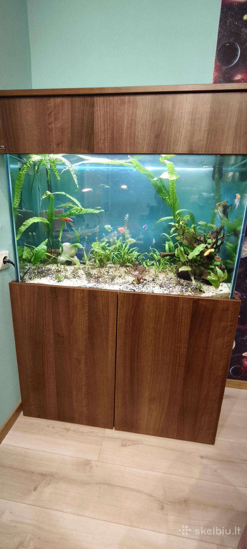Akvariumas 220l