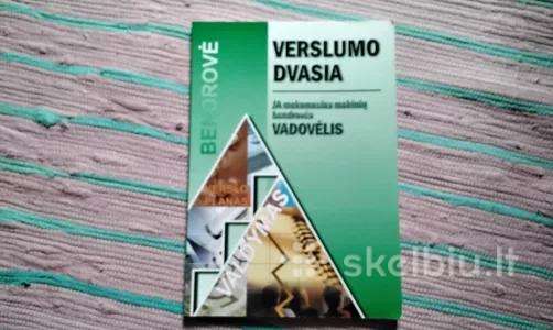 Verslumo dvasia Lietuvos Junior achievement