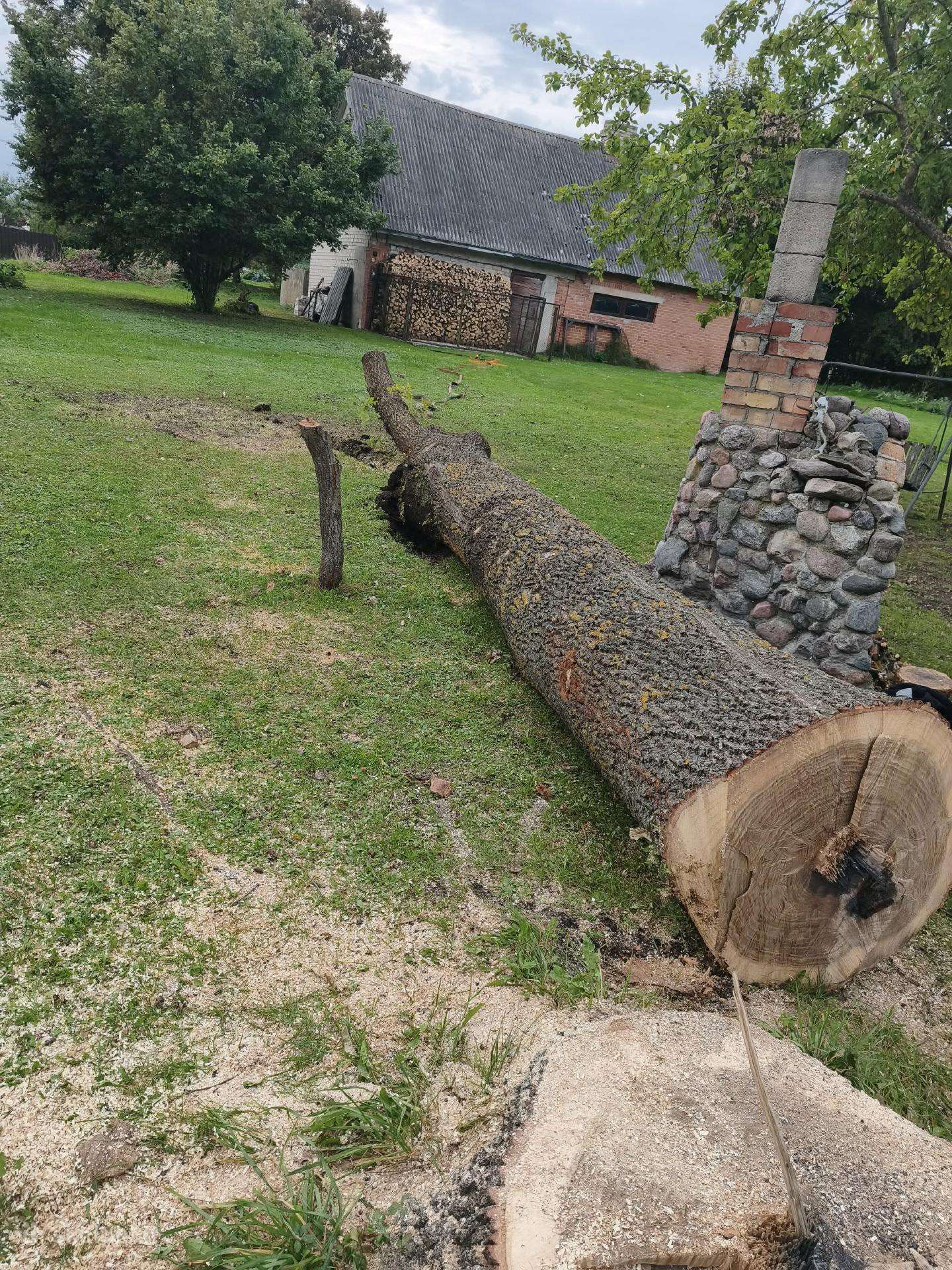 Parduodu Ąžuolo rasta