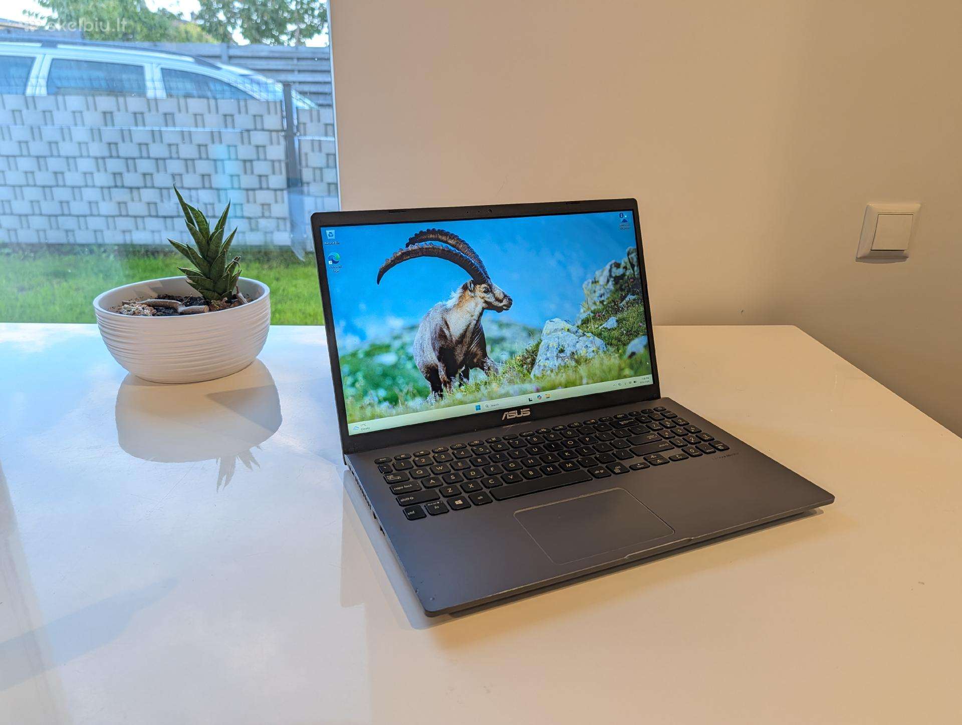 Asus Vivobook X509f I5-8265u 15"