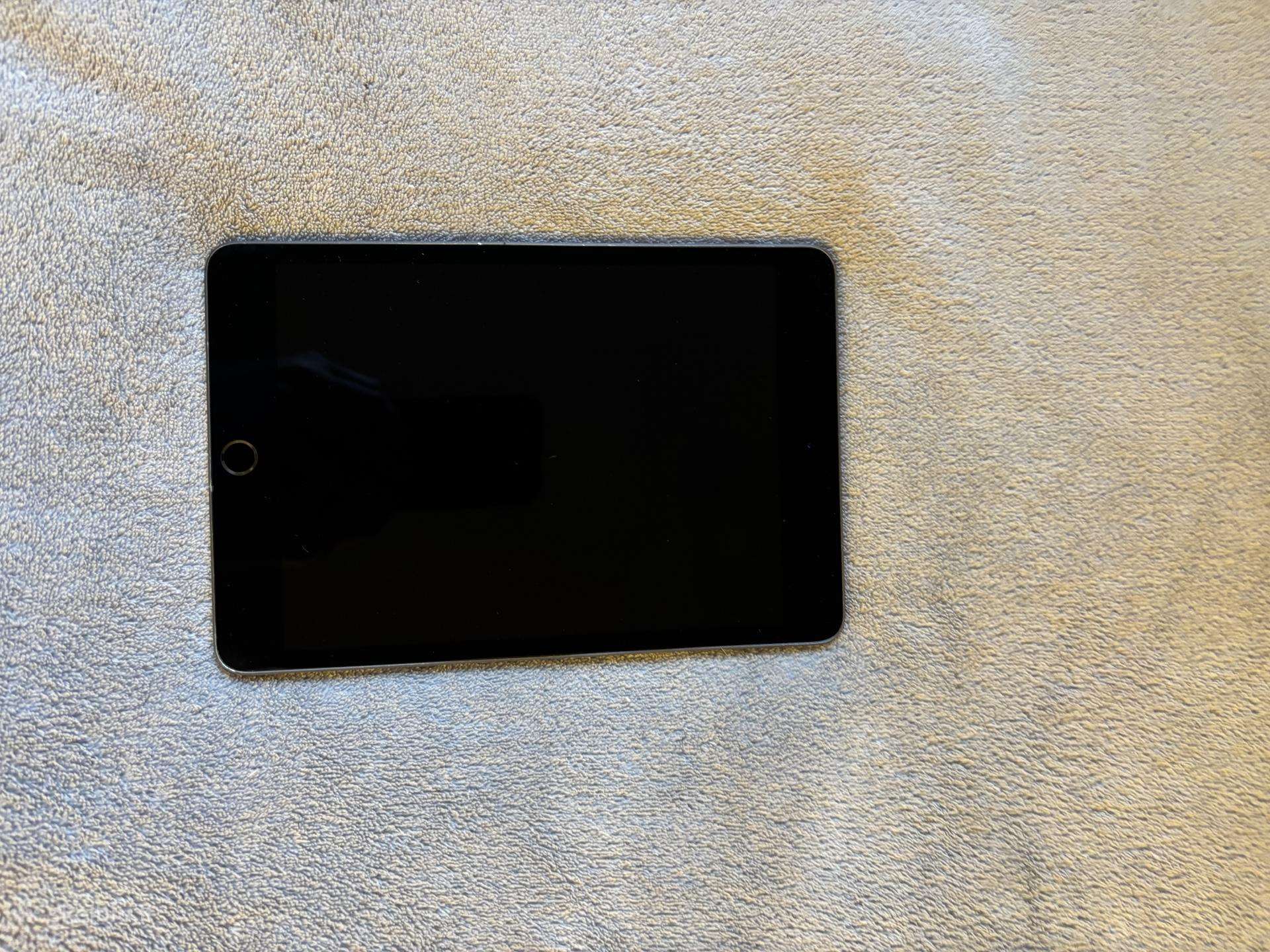 Apple iPad mini 2019 WiFi