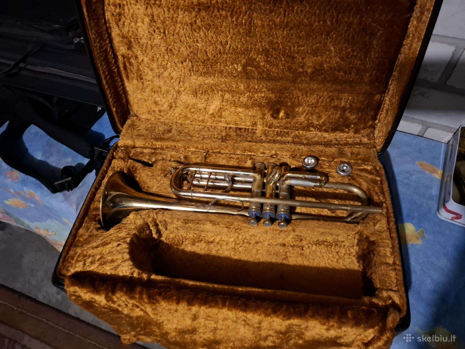 Trimitas amati