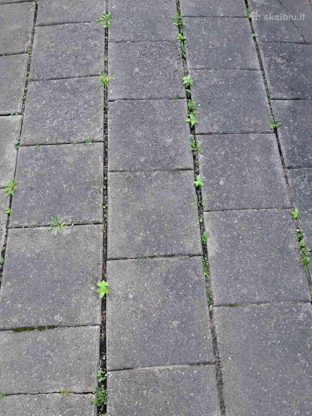 Dovanojame šaligatvio plyteles