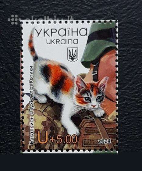 Ukraina Karas 2024 Pūkuotas batalionas. Kačiukai