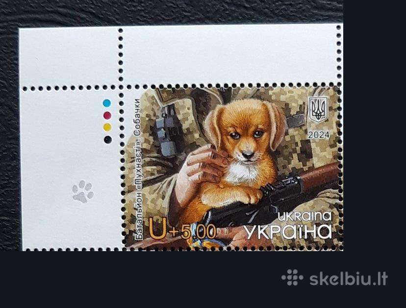 Ukraina Karas 2024 Pūkuotas batalionas. Šuniukai