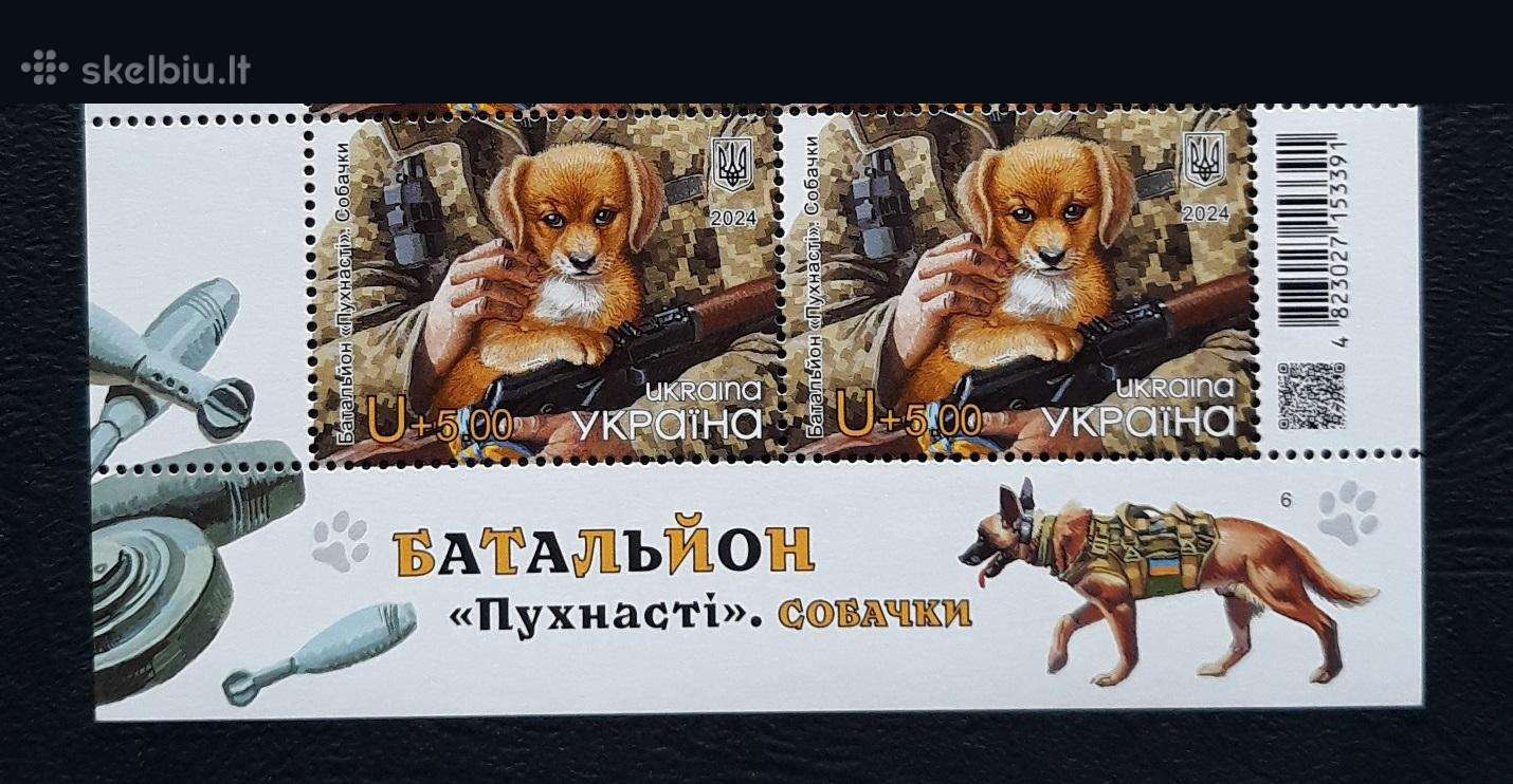 Ukraina Karas 2024 Pūkuotas batalionas. Šuniukai J