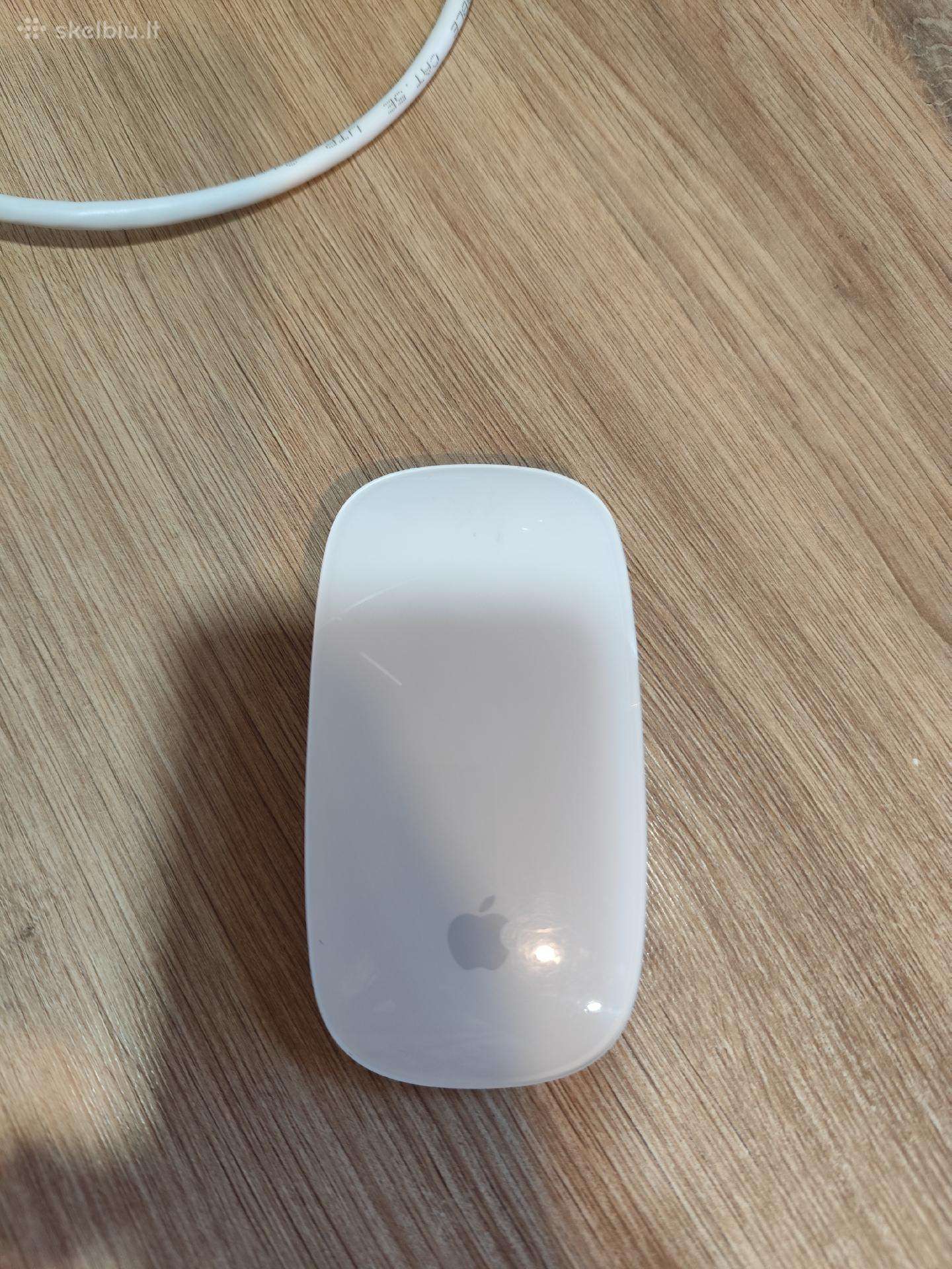 Magic mouse 2