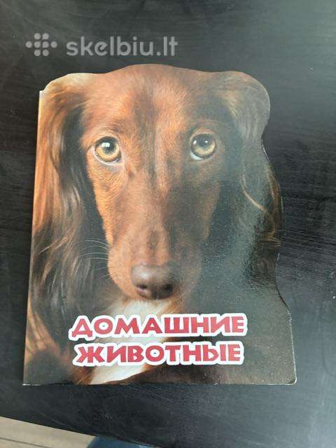 Kartoninė knygelė mažyliams