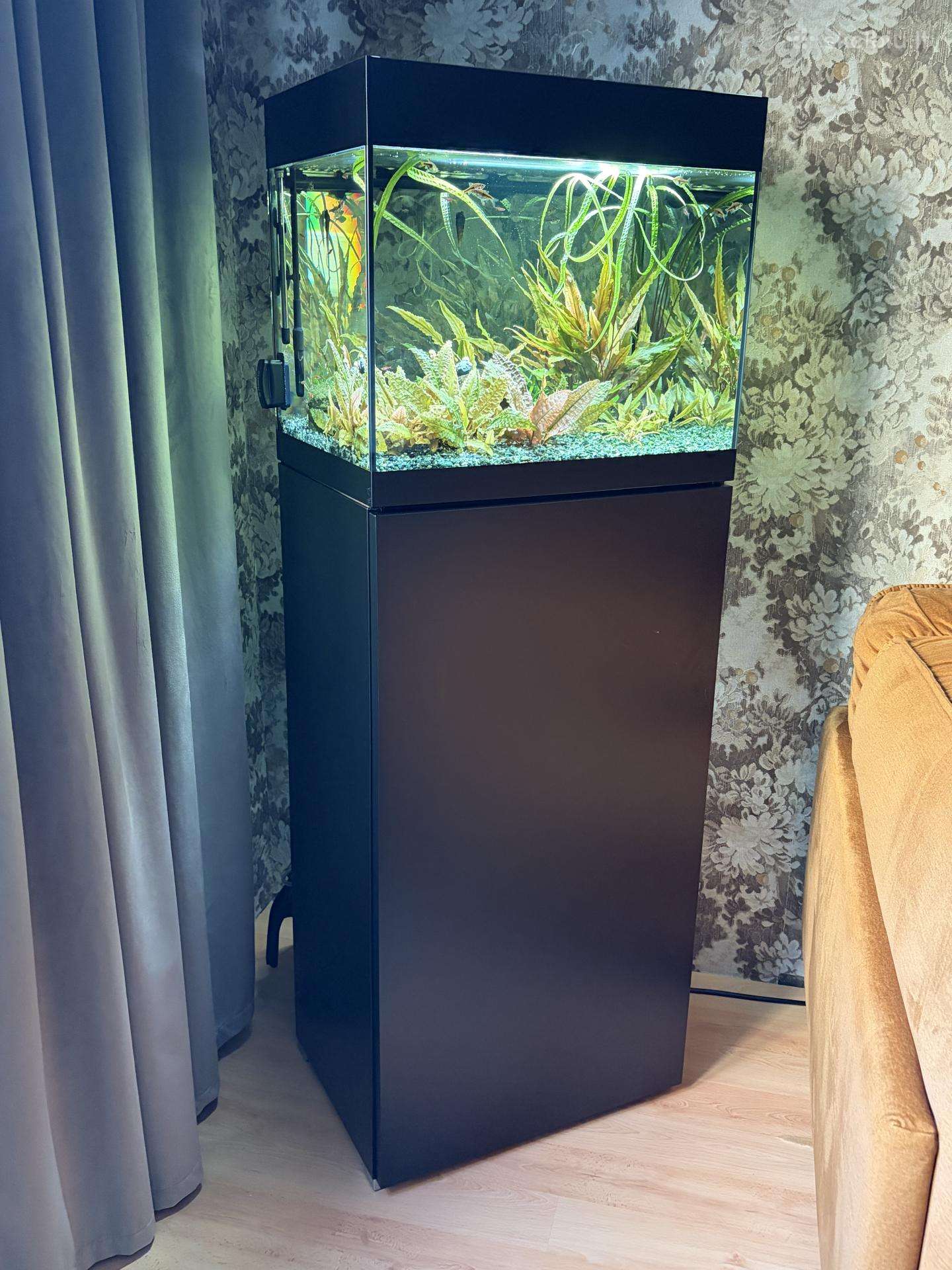 Pilnai įrengtas Oase 75l akvariumo komplektas