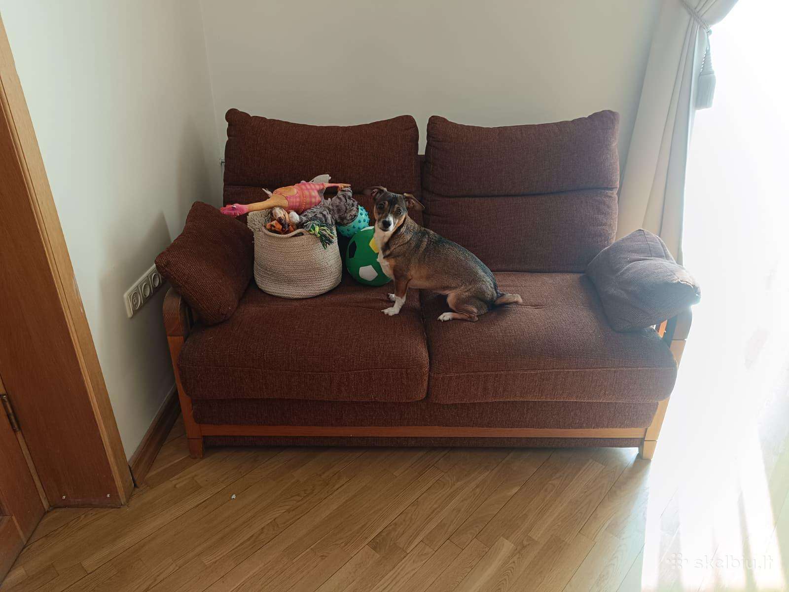 Nedidelė ruda sofa su mediniu rėmu