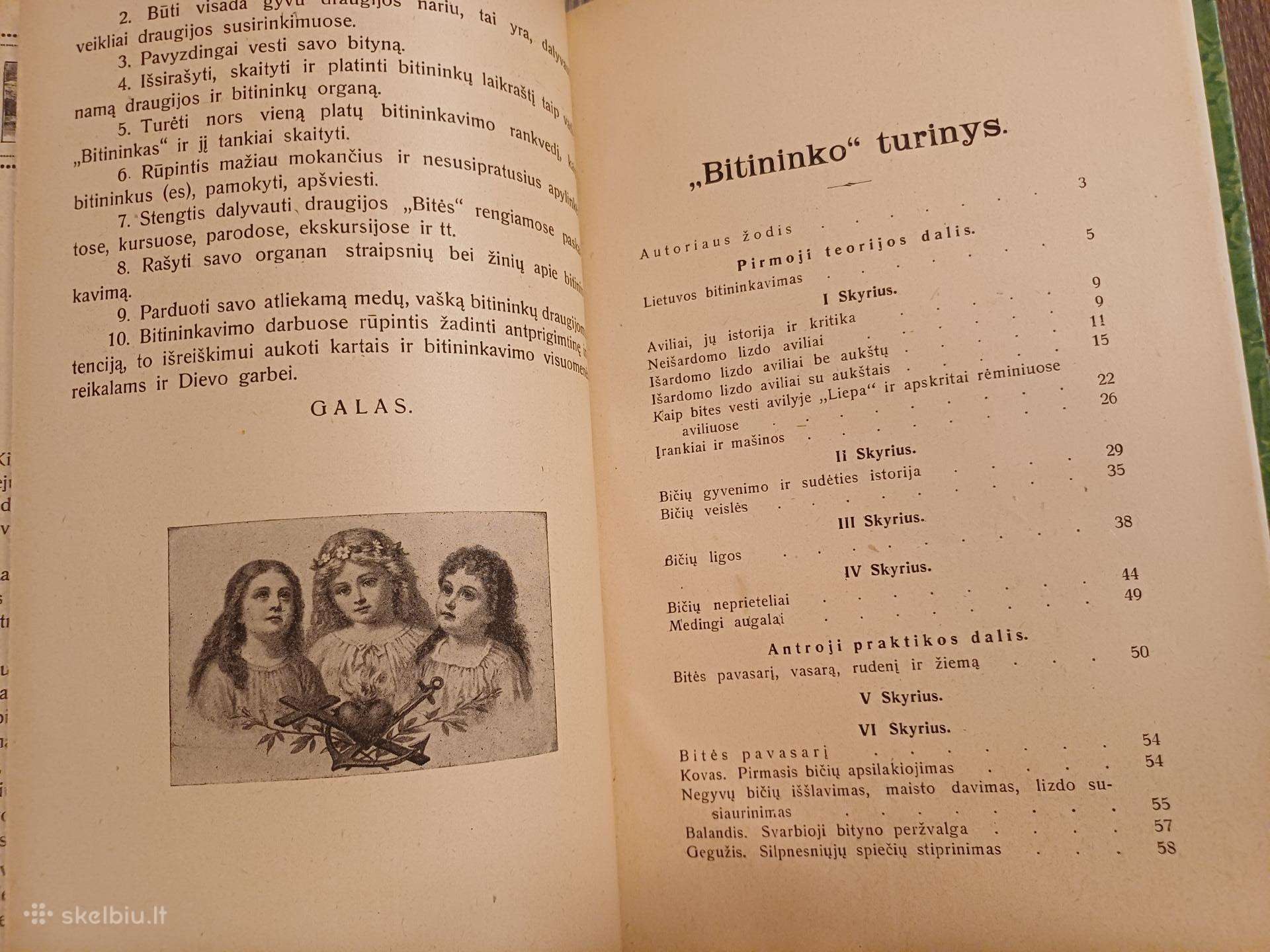 Parduodu knyga,bitininkas,1921m