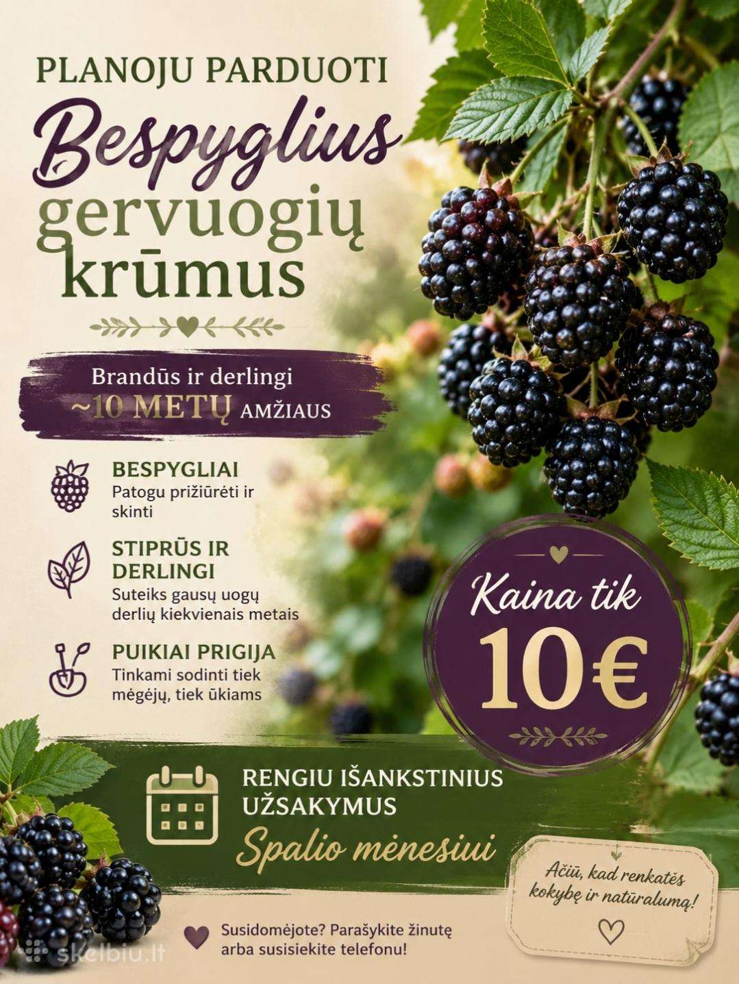 Bespygles Gervuoges