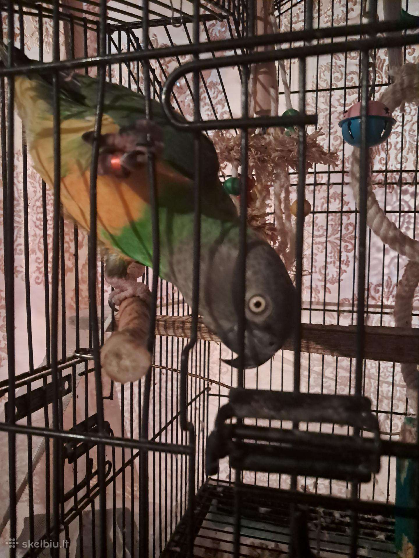 Parduodamas