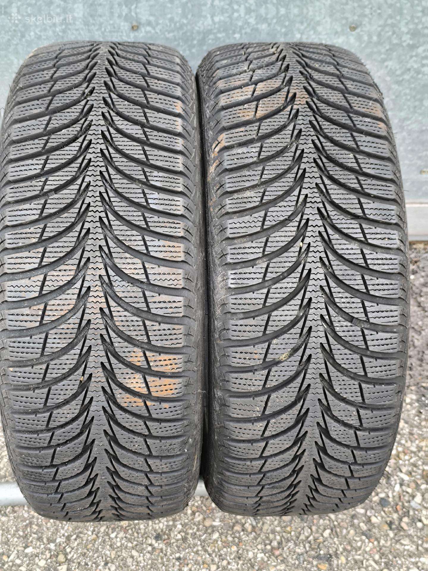 205/55/16 Sava Eskimo ice
