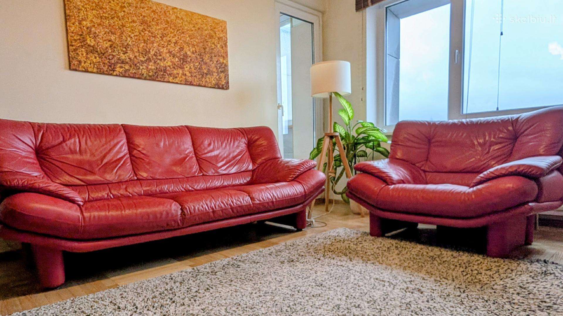 Natūralios odos Sofa ir fotelis