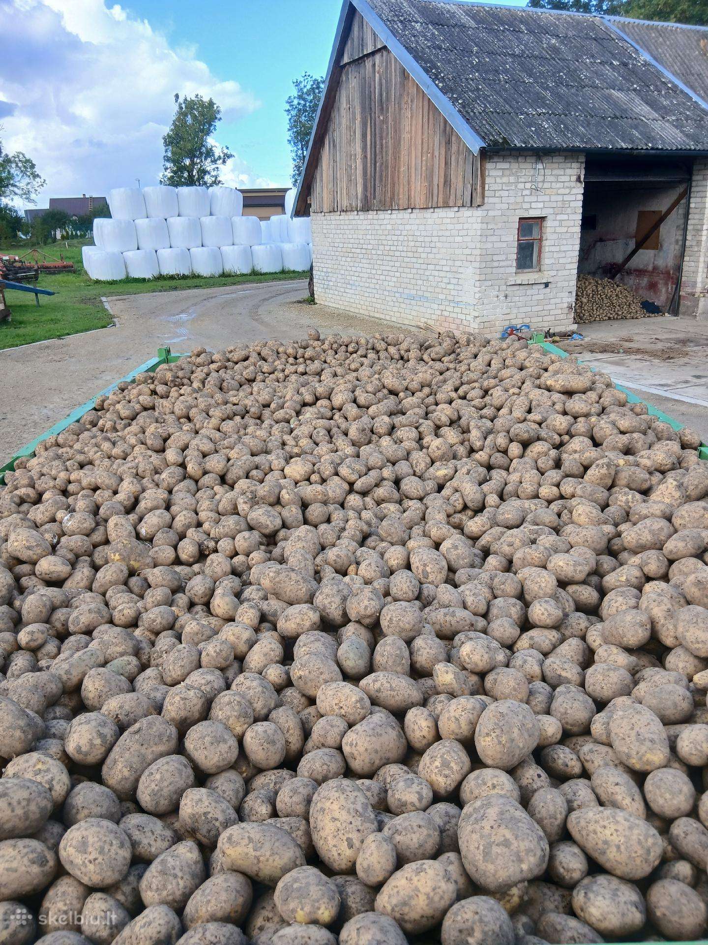 Bulvės