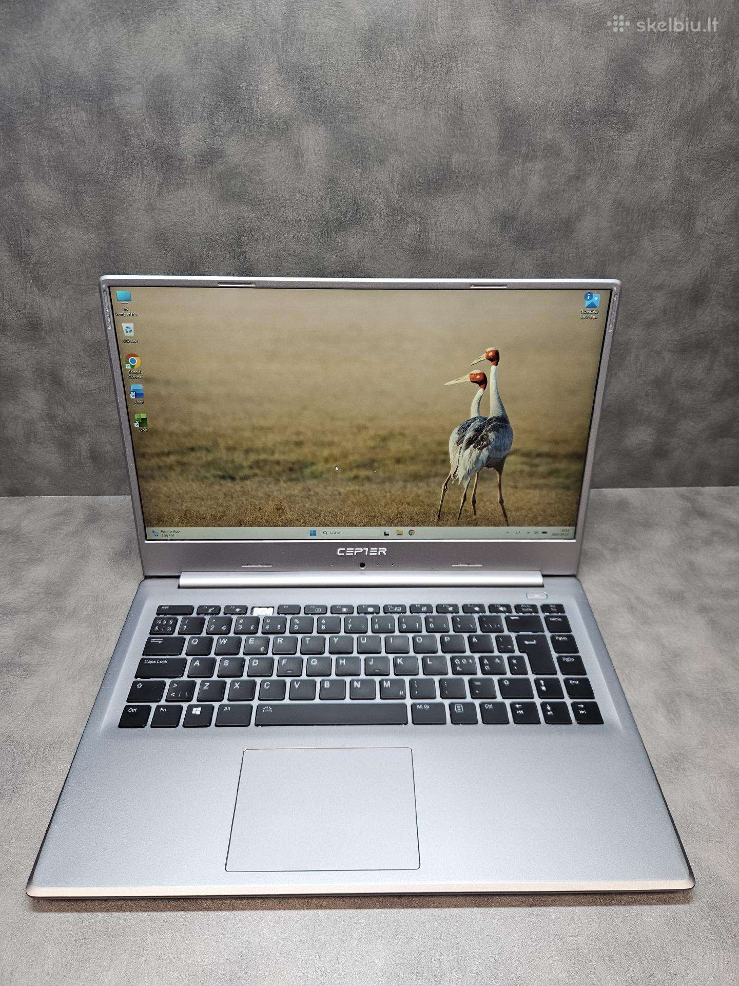 Cepter/ i5-10210u/ 16ram/ 250ssd/ 15.6" Fhd