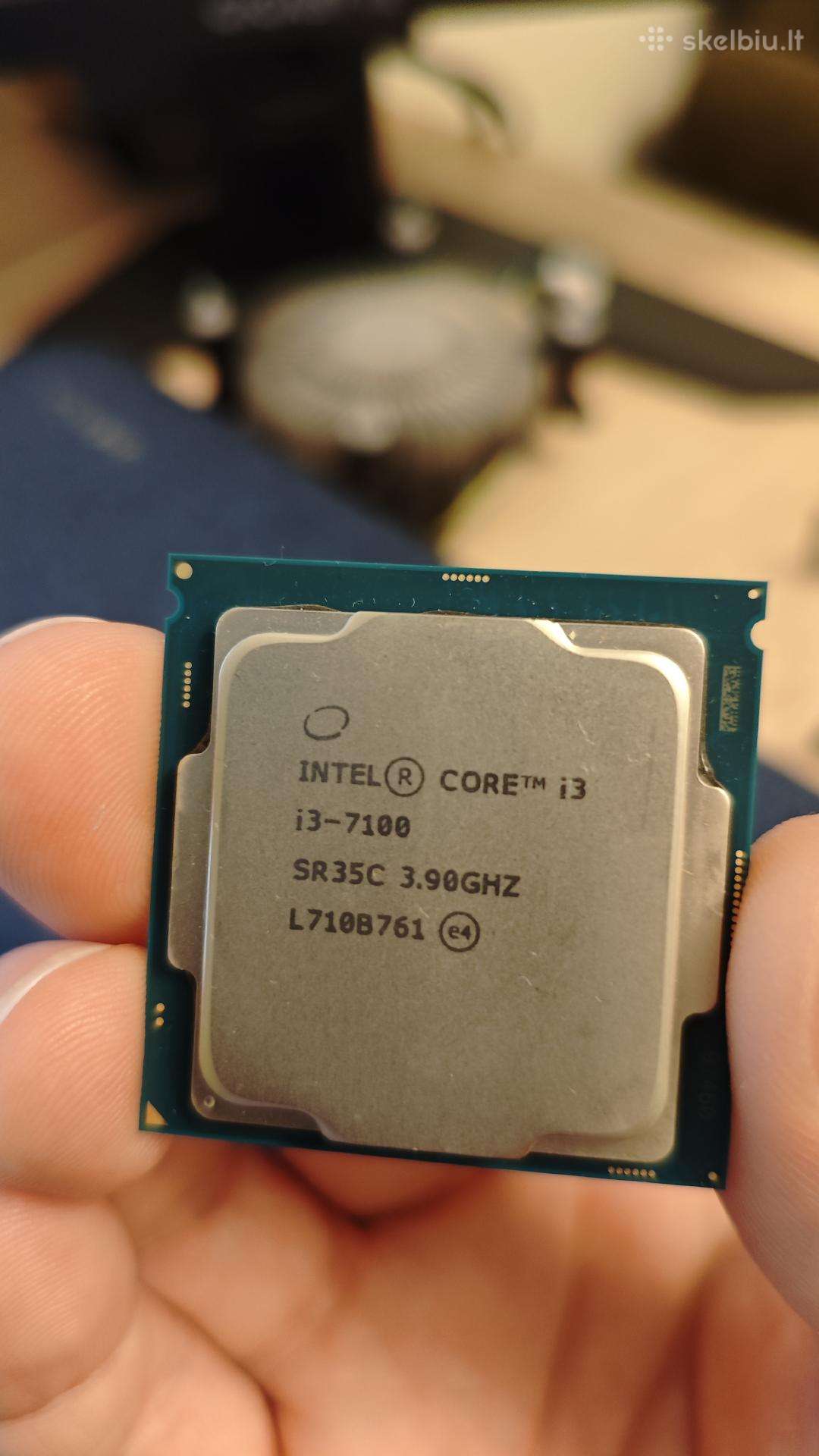 Intel Core i3-7100 procesorius