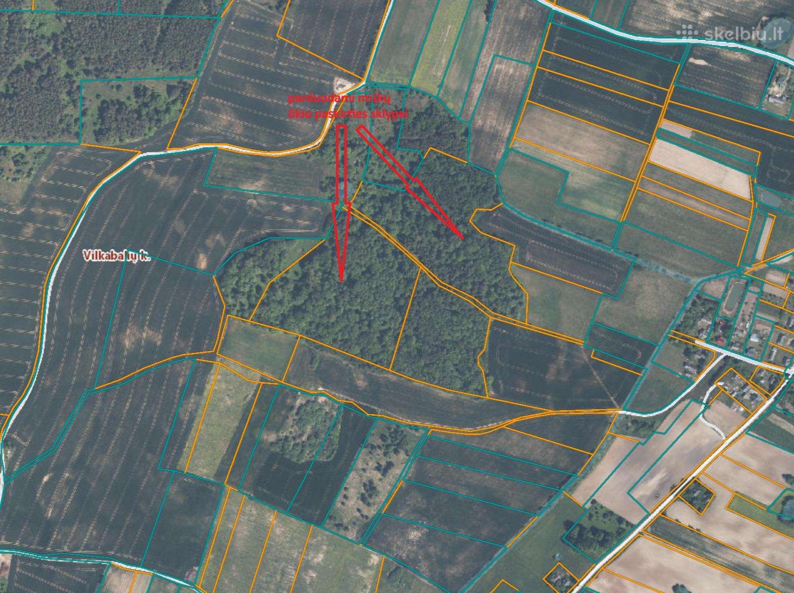 Parduodami miškų ūkio paskirties sklypai 6,74 ha