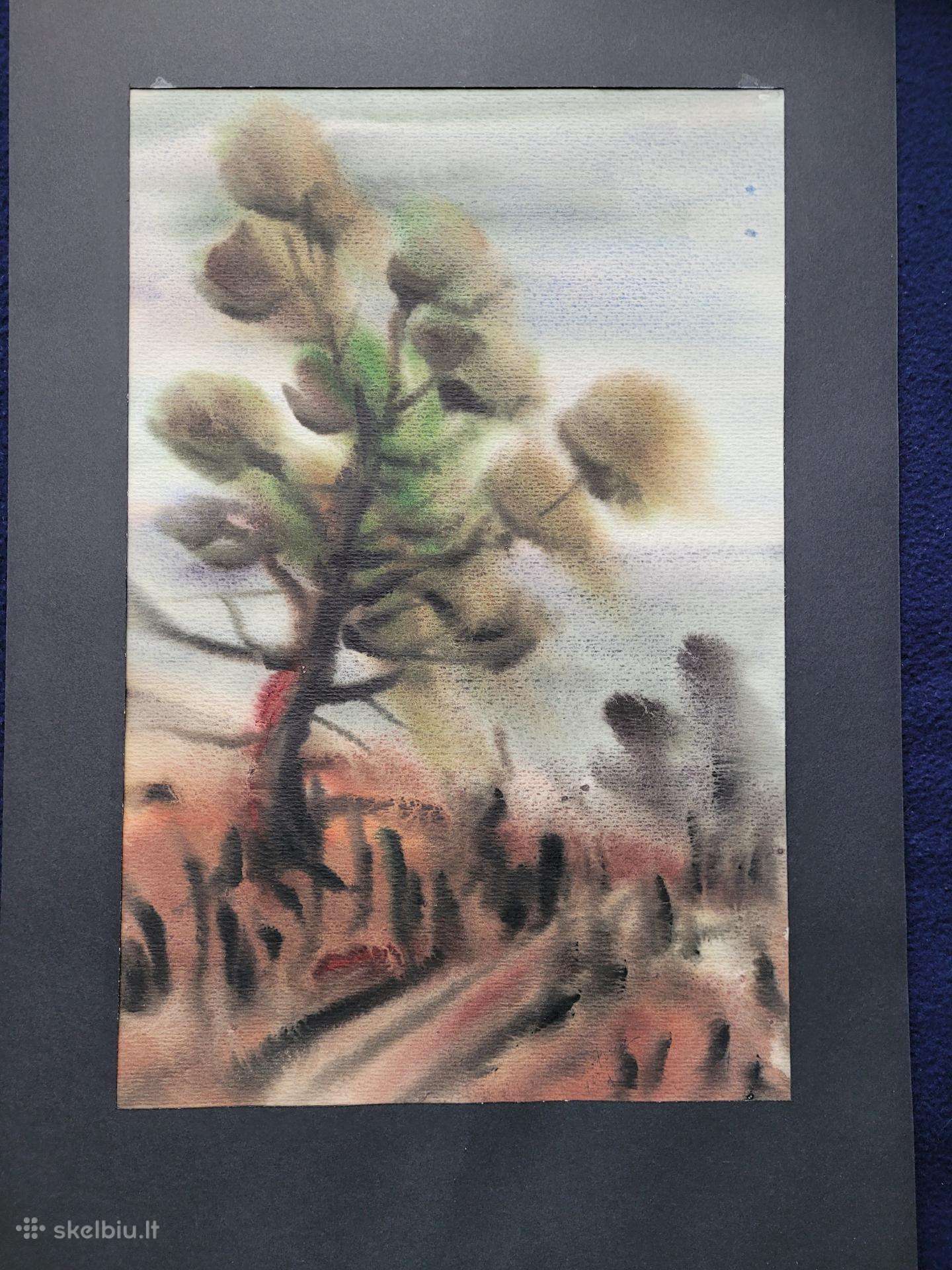 Akvarelė "Medis", Vyt. Jackevičius, 1985