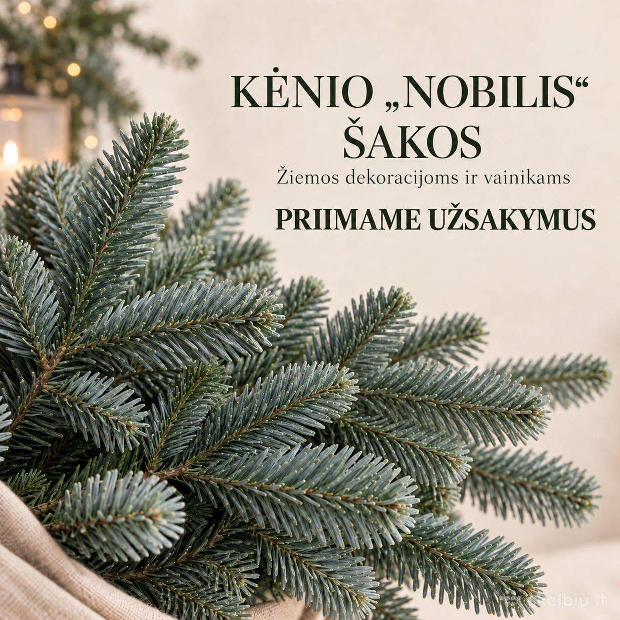 Nobilis kėnio šakos