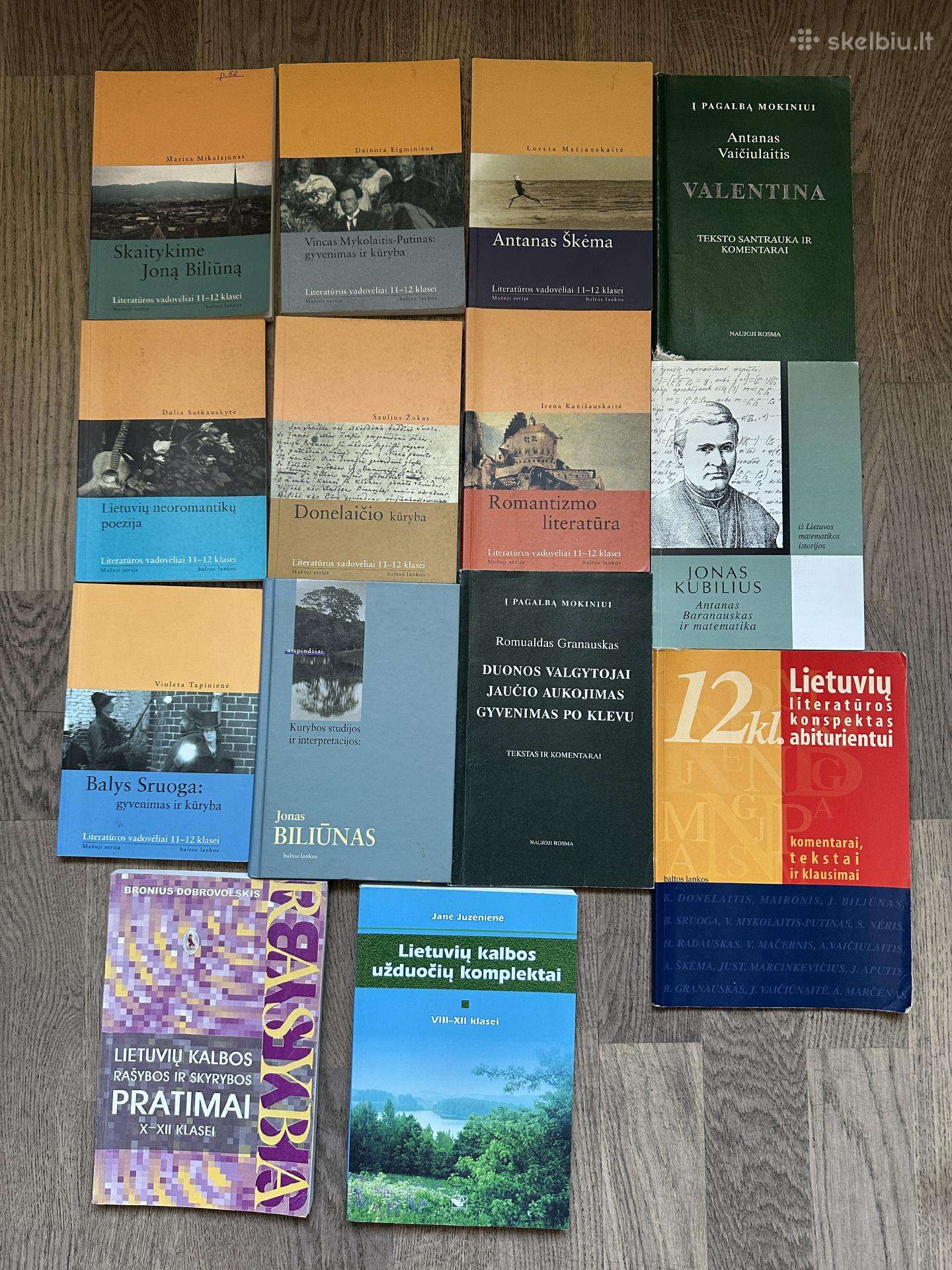 Lietuvių literatūros konspektai, interpretacijos