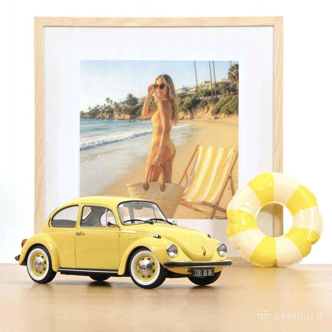 VW 1303