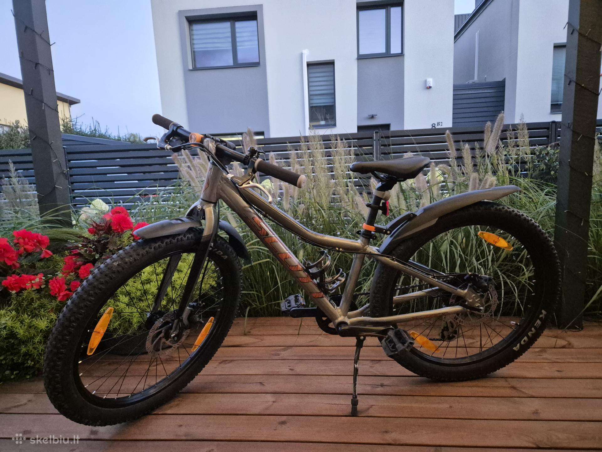 Scott Roxter 24"