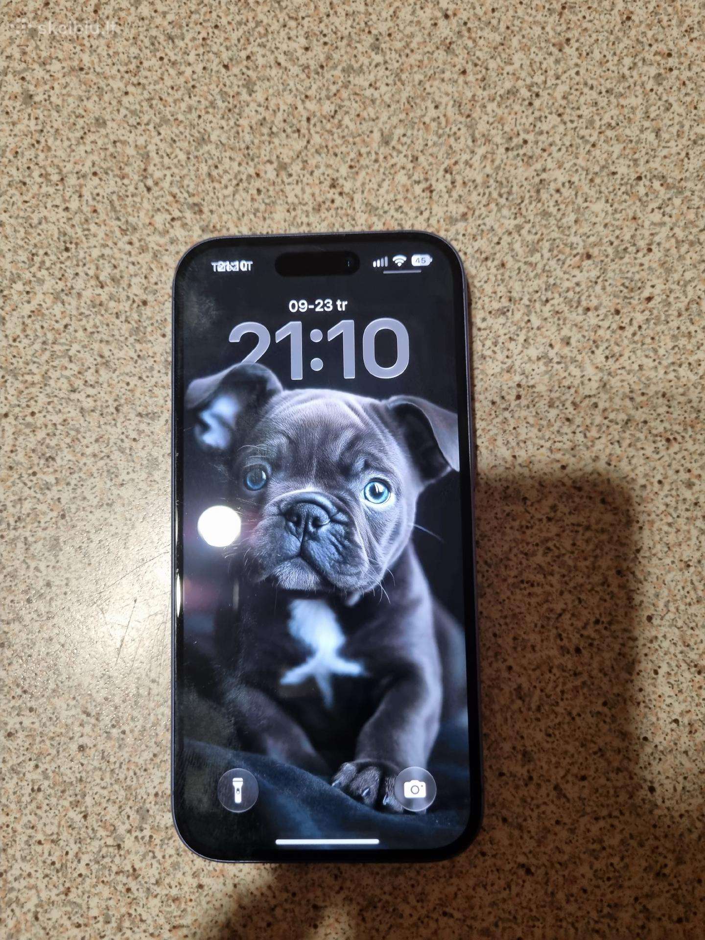 Apple iPhone 16