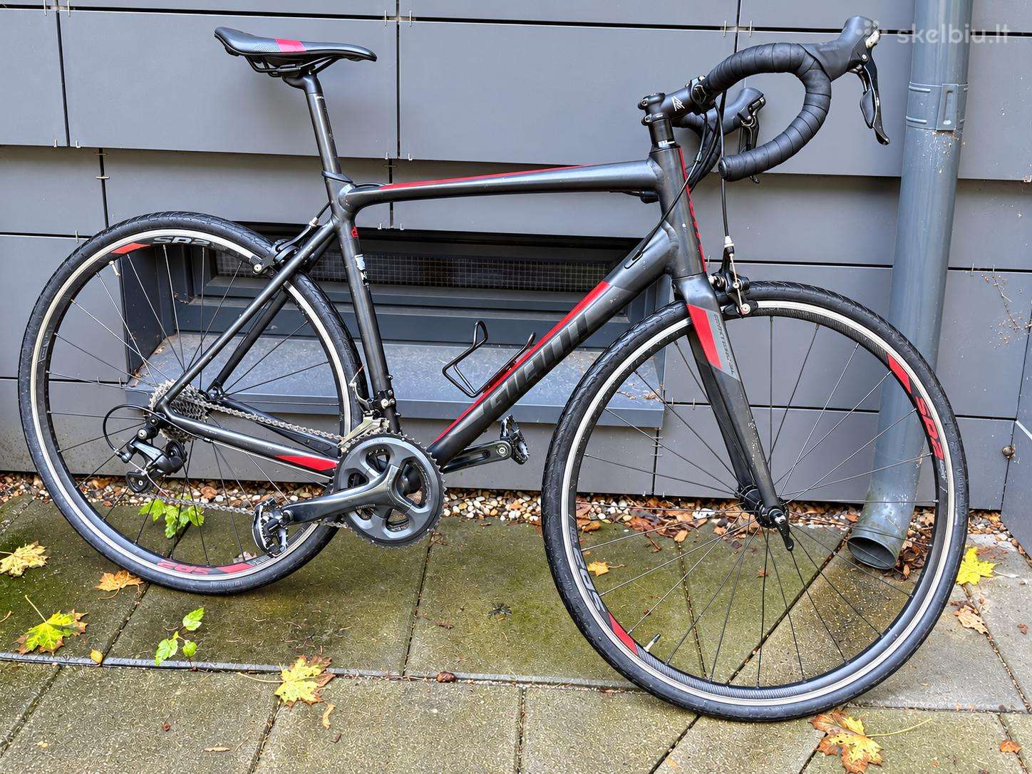 Giant Contend plento dviratis, M/l, Shimano Tiagra