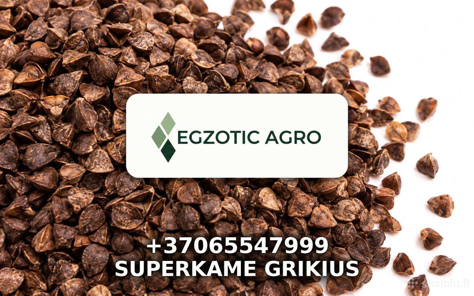 Superkame Grikius
