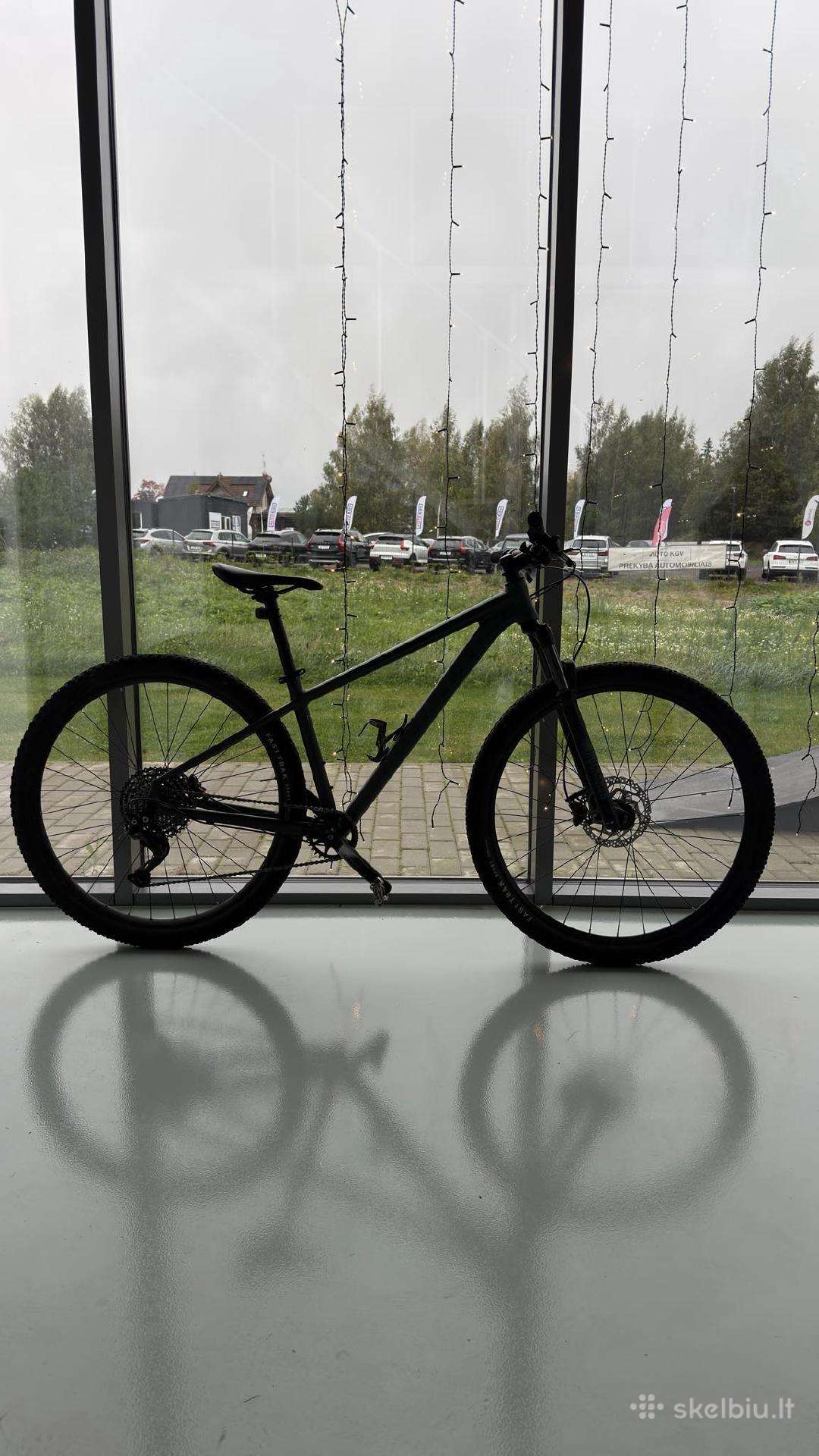 MTB Dviratis Specialized Rockhopper Comp '29 M