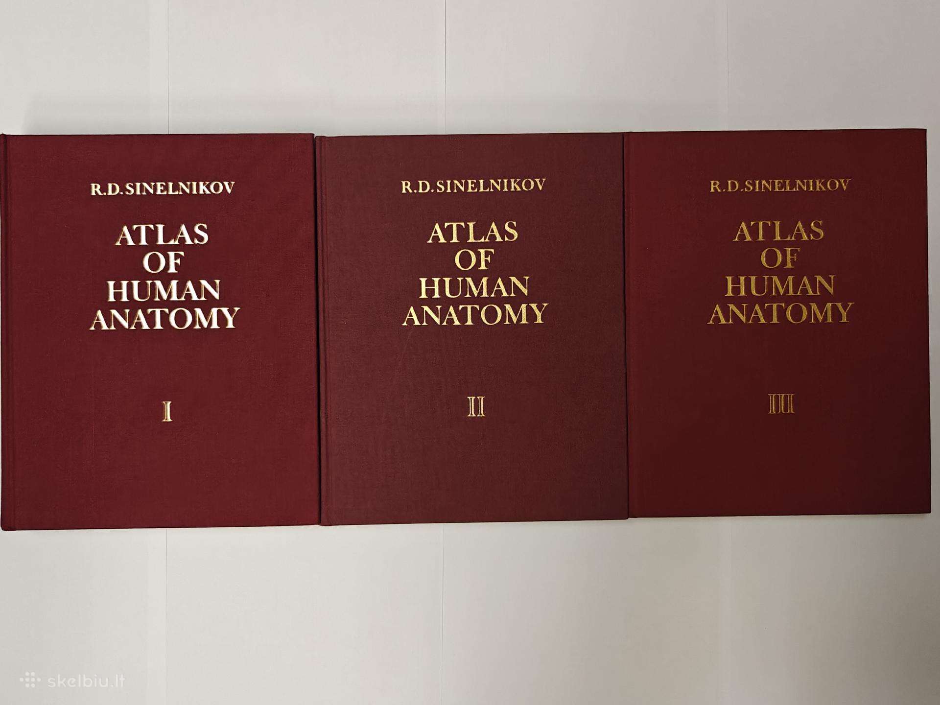 Atlas of Human Anatomy - Sinelnikov