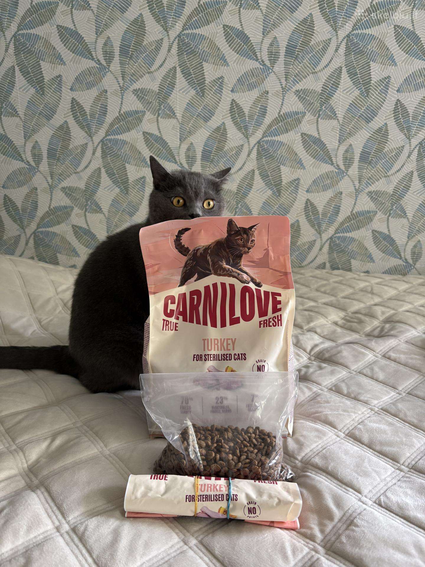 Carnilove sausas kačių pašaras + Ag sensitive
