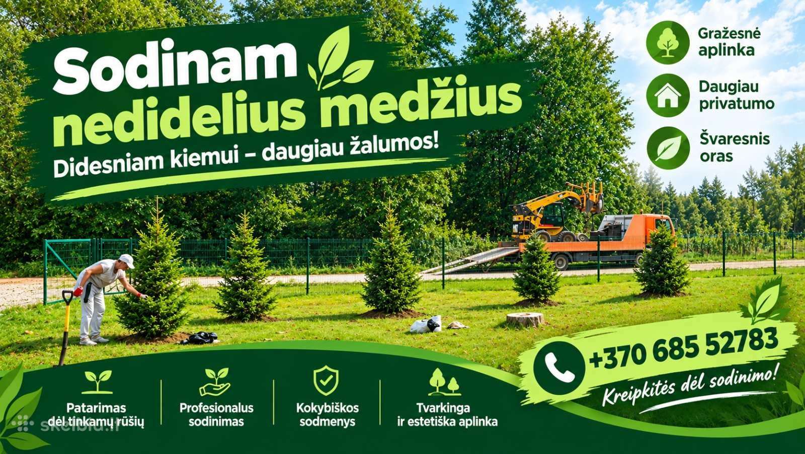 Medžių persodinimas
