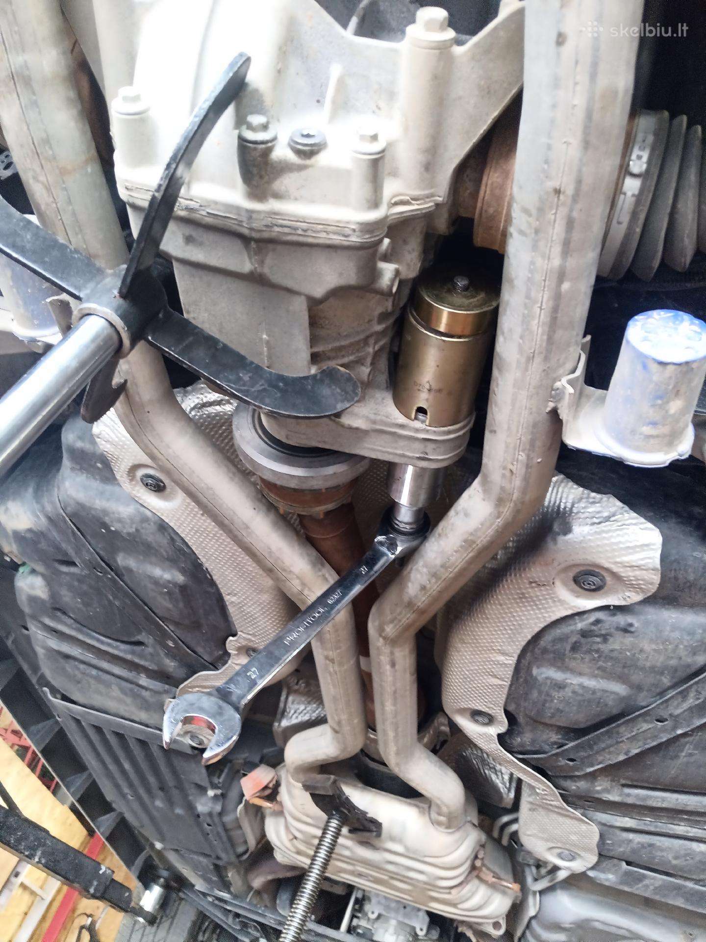 Ieškomas jaunas automechanikas