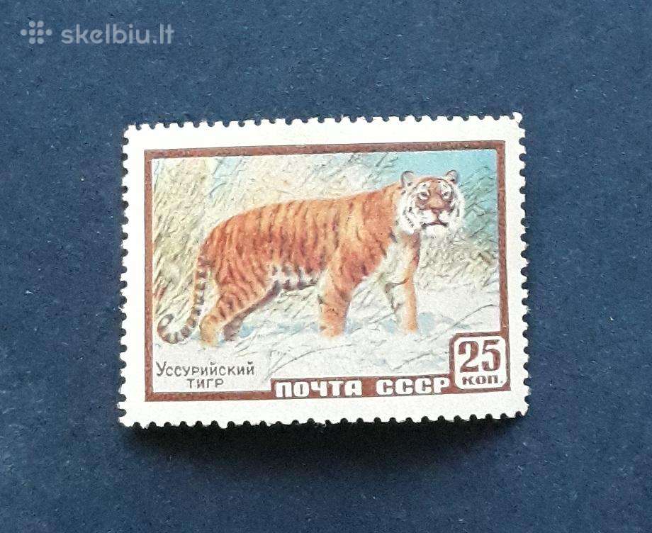 CcCCCP 1959 2275 mlh Wildlife / Fauna /2