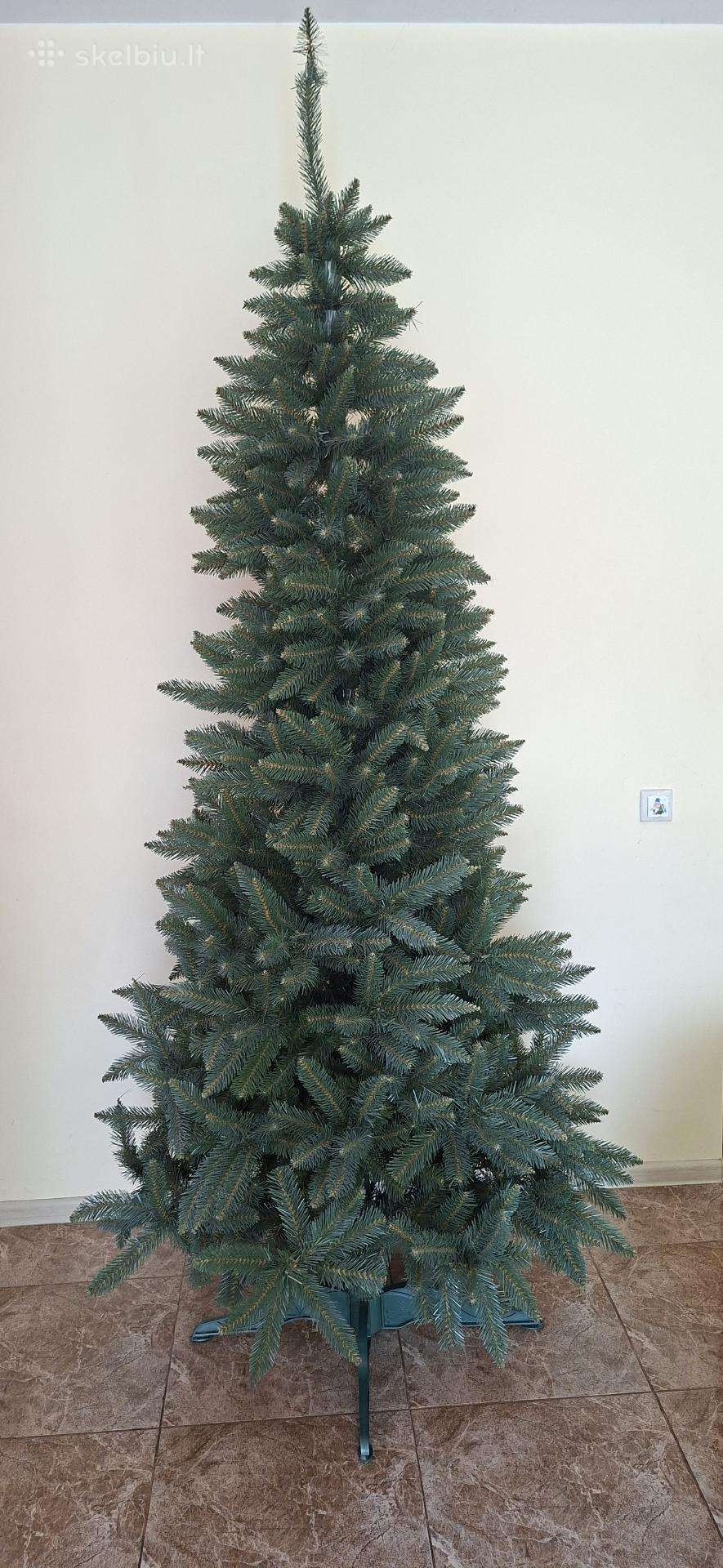 Kalėdinė eglė 240 cm.