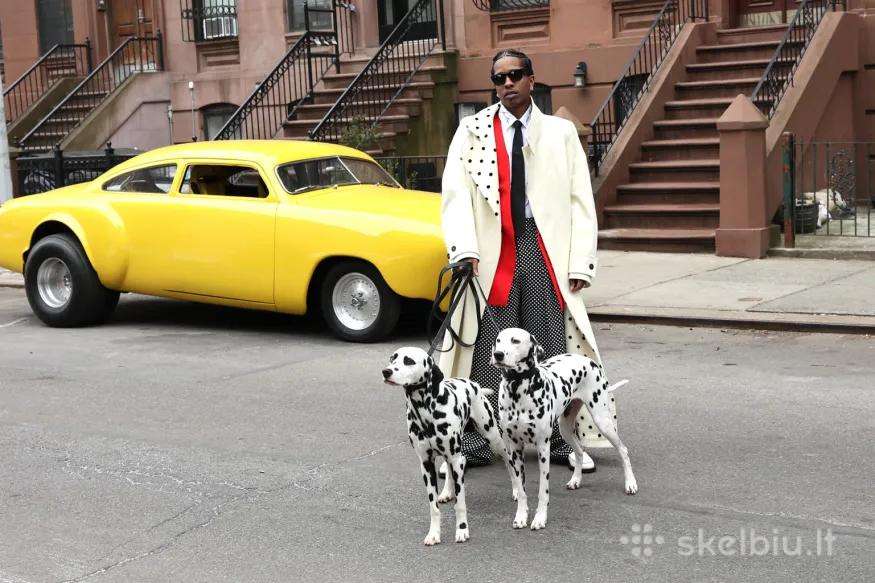 Asap Rocky Audi 121 sektorius po 90eur