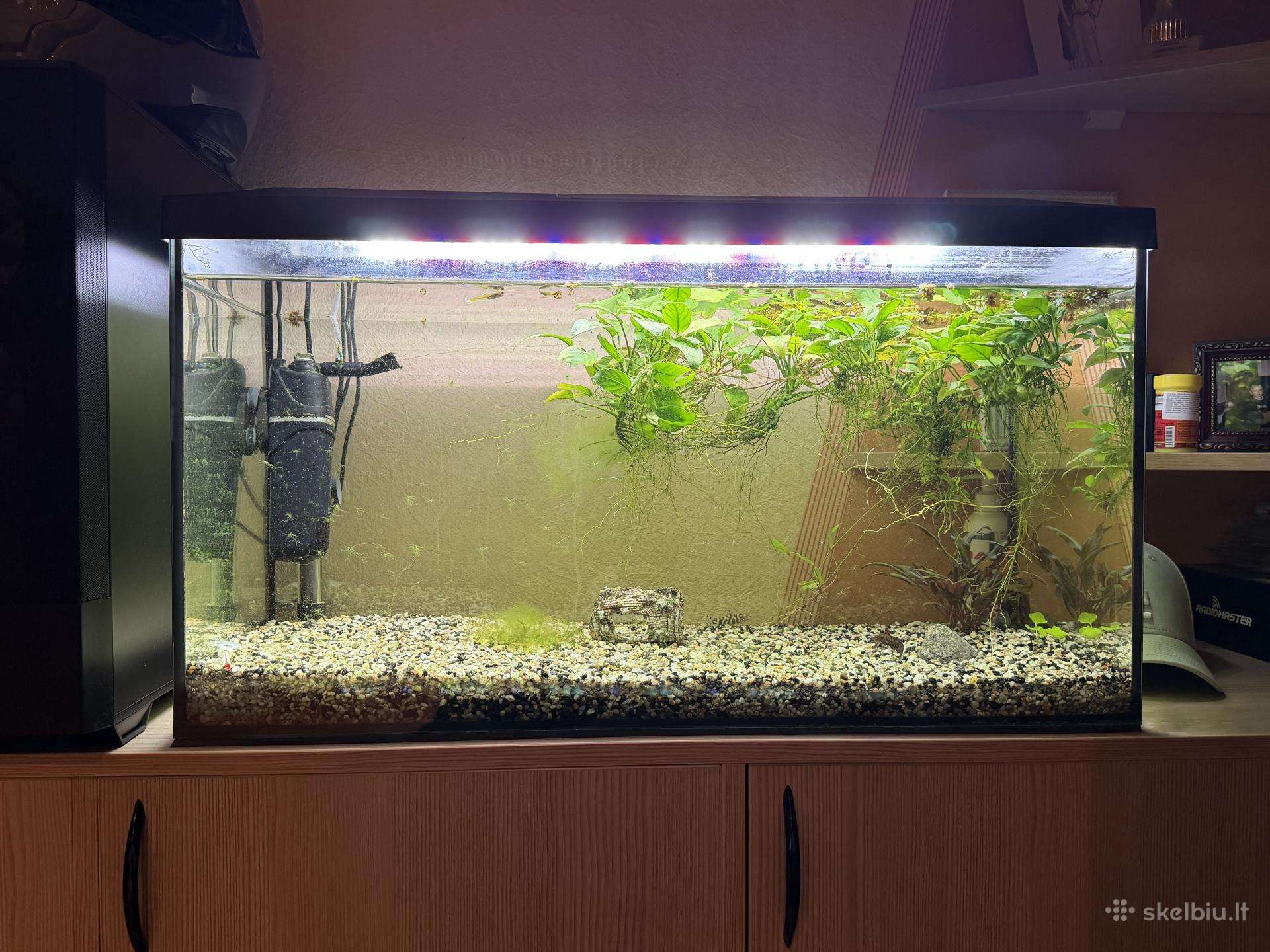 Aquael 100l akvariumas