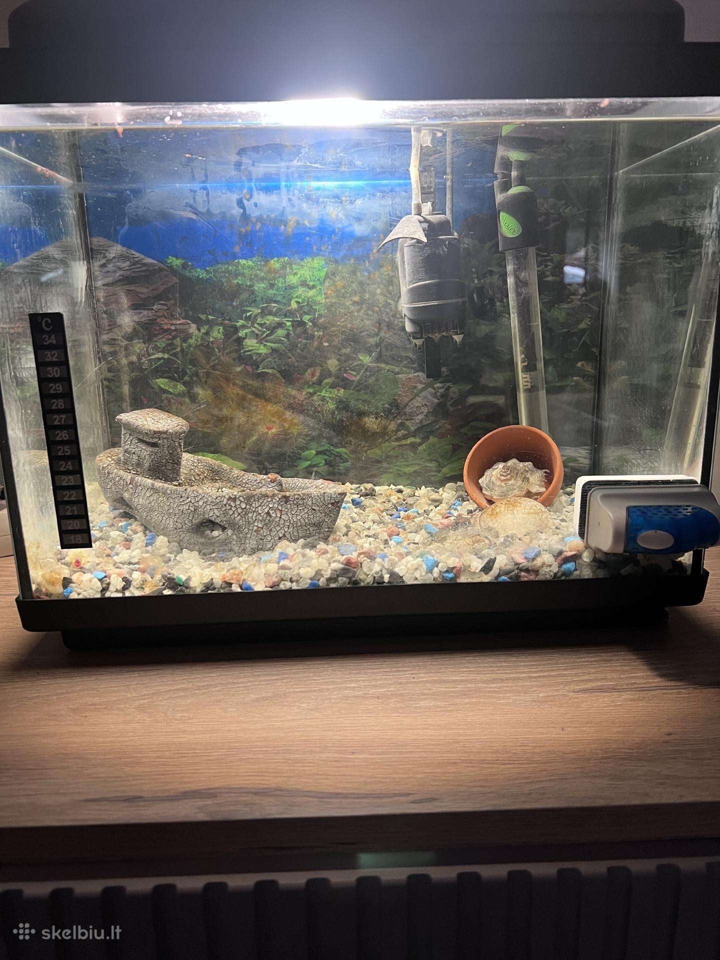Akvariumas 25l