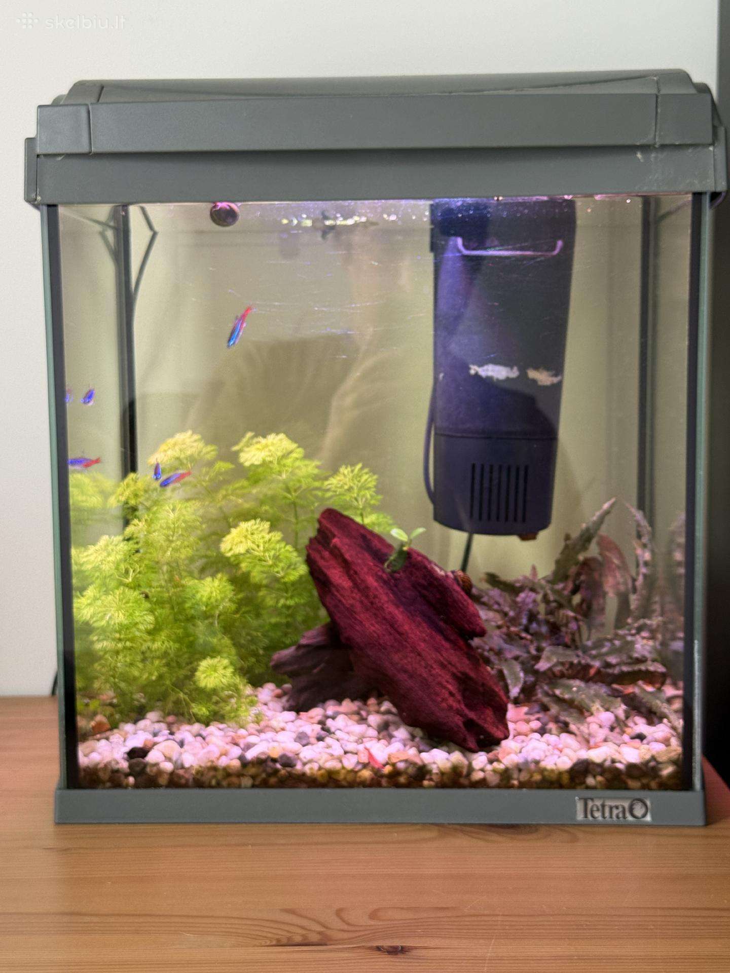 Parduodamas 40 litrų akvariumas