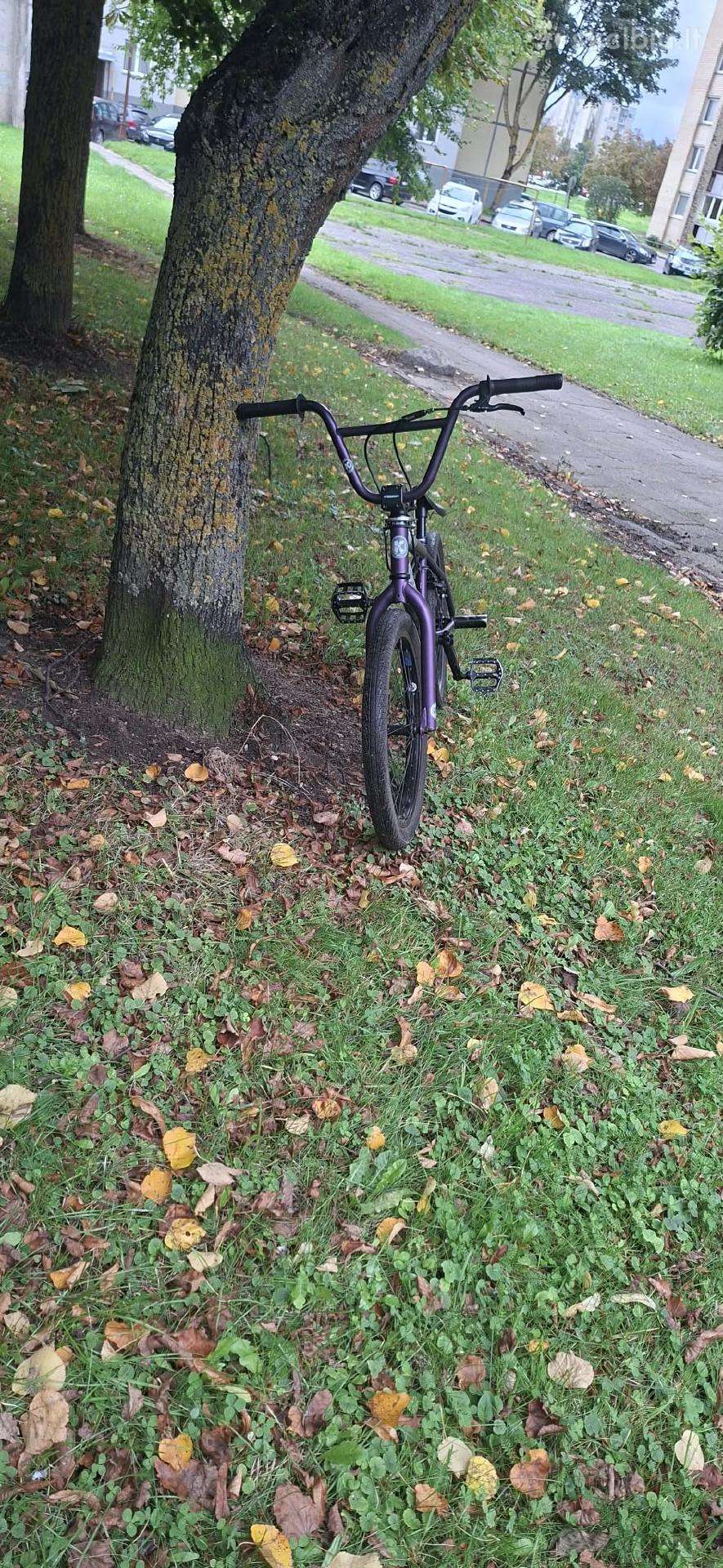 Kink BMX