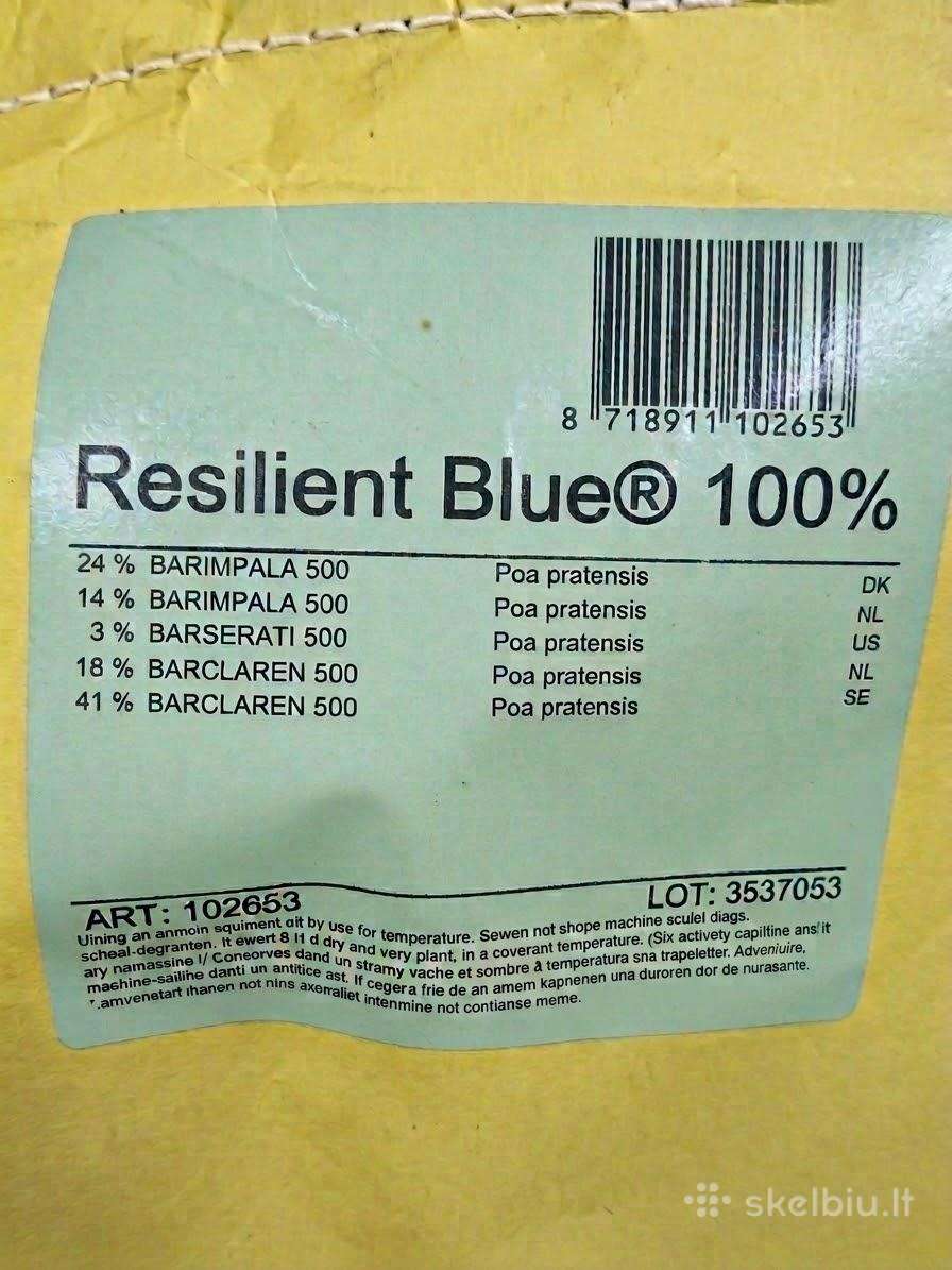 100% Pievinė miglė -Resilient Blue Barenbrug sėke