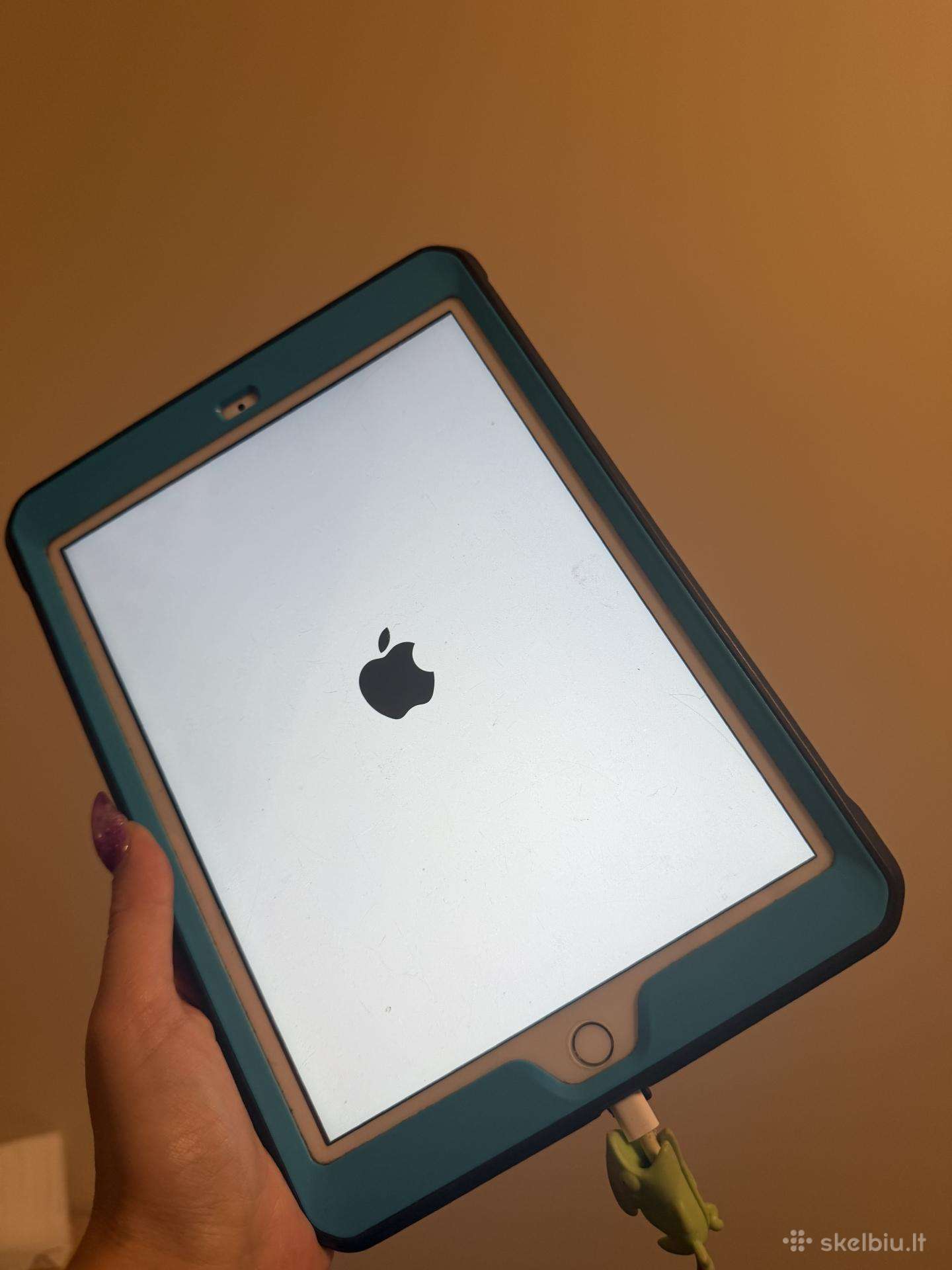 iPad 5th generation (2017), 9.7 Wi-fi modelis